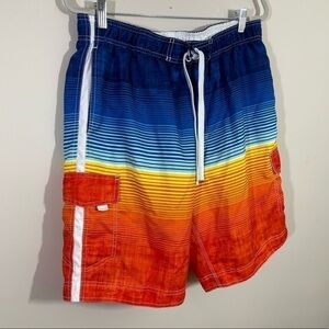 Wave Zone sz lg mens swimsuit  multicolored with the liner